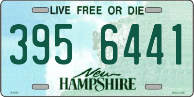 NH license plate 3956441