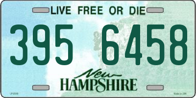 NH license plate 3956458