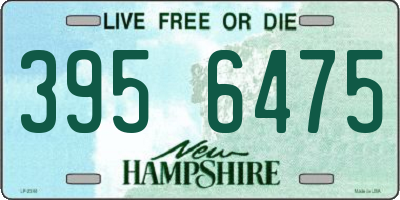 NH license plate 3956475