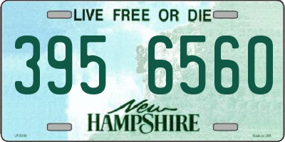 NH license plate 3956560