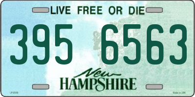 NH license plate 3956563