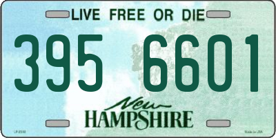 NH license plate 3956601