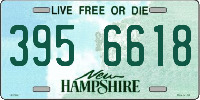 NH license plate 3956618
