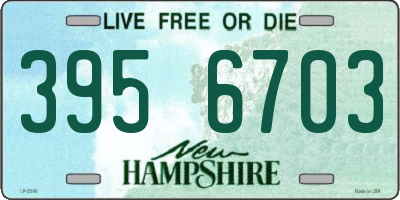 NH license plate 3956703