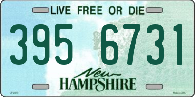 NH license plate 3956731