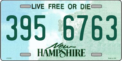 NH license plate 3956763