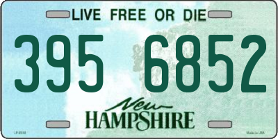 NH license plate 3956852