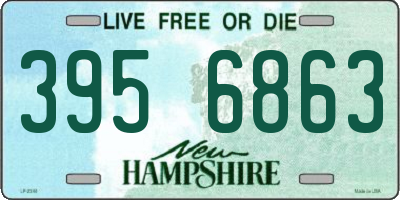 NH license plate 3956863