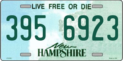 NH license plate 3956923