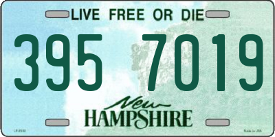 NH license plate 3957019