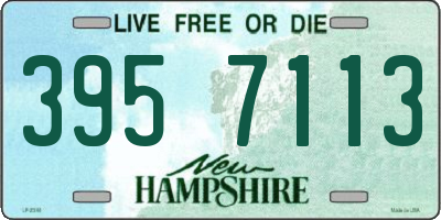 NH license plate 3957113