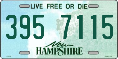 NH license plate 3957115
