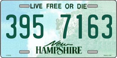 NH license plate 3957163