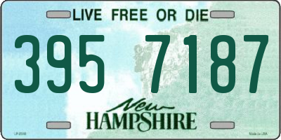 NH license plate 3957187