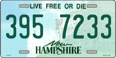 NH license plate 3957233