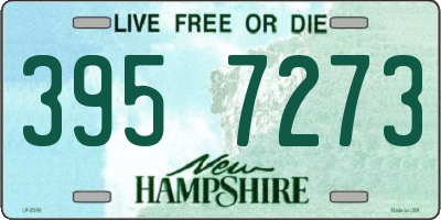 NH license plate 3957273