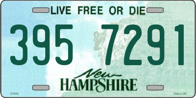 NH license plate 3957291