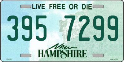 NH license plate 3957299