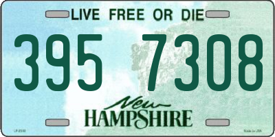 NH license plate 3957308