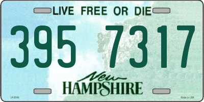 NH license plate 3957317