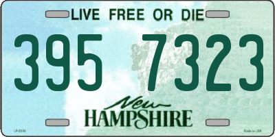 NH license plate 3957323