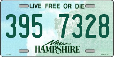NH license plate 3957328