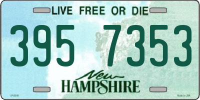NH license plate 3957353
