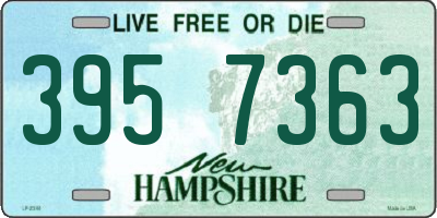 NH license plate 3957363