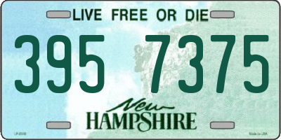 NH license plate 3957375