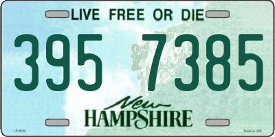 NH license plate 3957385