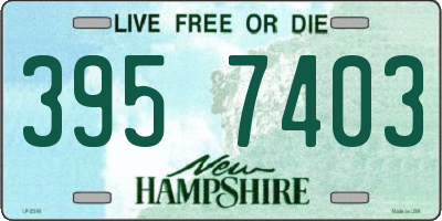 NH license plate 3957403