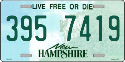 NH license plate 3957419