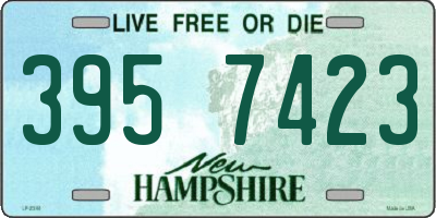 NH license plate 3957423