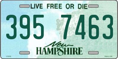 NH license plate 3957463