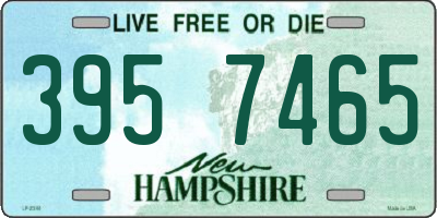 NH license plate 3957465
