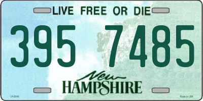 NH license plate 3957485
