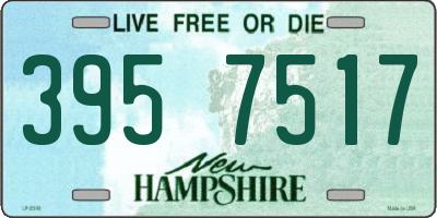 NH license plate 3957517