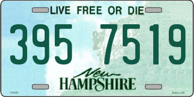 NH license plate 3957519