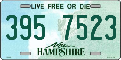 NH license plate 3957523