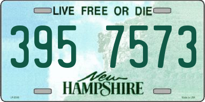 NH license plate 3957573