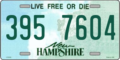 NH license plate 3957604