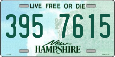NH license plate 3957615