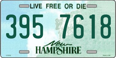 NH license plate 3957618
