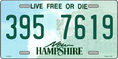 NH license plate 3957619