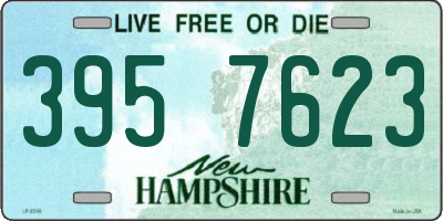 NH license plate 3957623