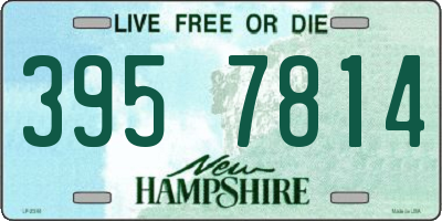 NH license plate 3957814