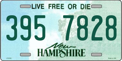 NH license plate 3957828