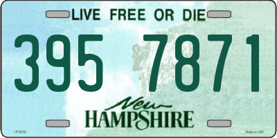 NH license plate 3957871