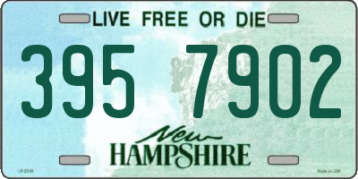 NH license plate 3957902