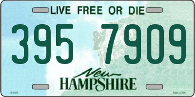 NH license plate 3957909